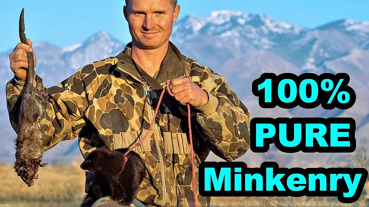 Just A Man And His Mink