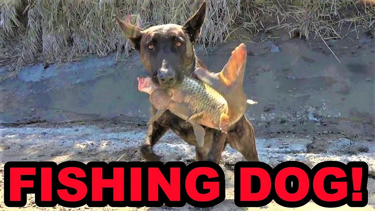 Fishing With A Dog!?!?!?