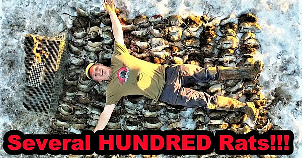 Record Shattering Ratting Run!