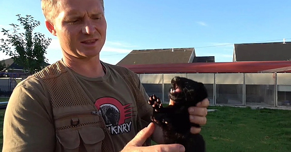 Caching Training Part 3 For Rascal