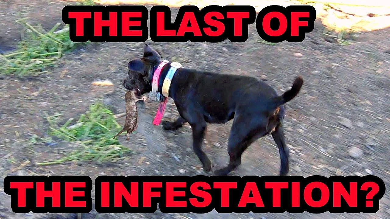 Finally Finishing Up At The Grain Farm!