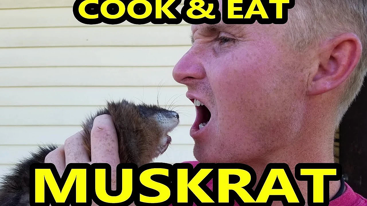 Muskrat Cooking Video!