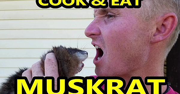 Muskrat Cooking Video!