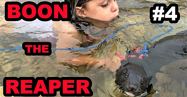 #4 Baby Boon: Basic Training Continues.