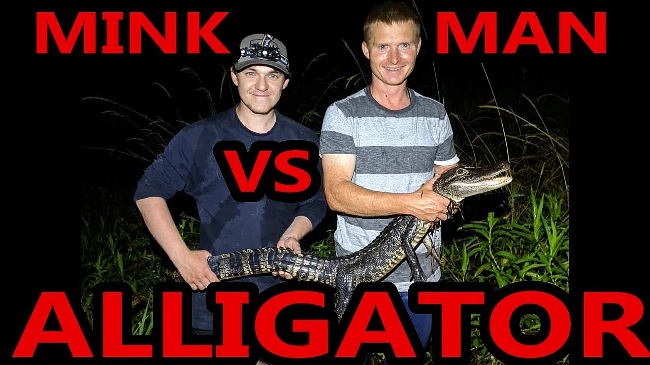 Gator Vs Mink Man