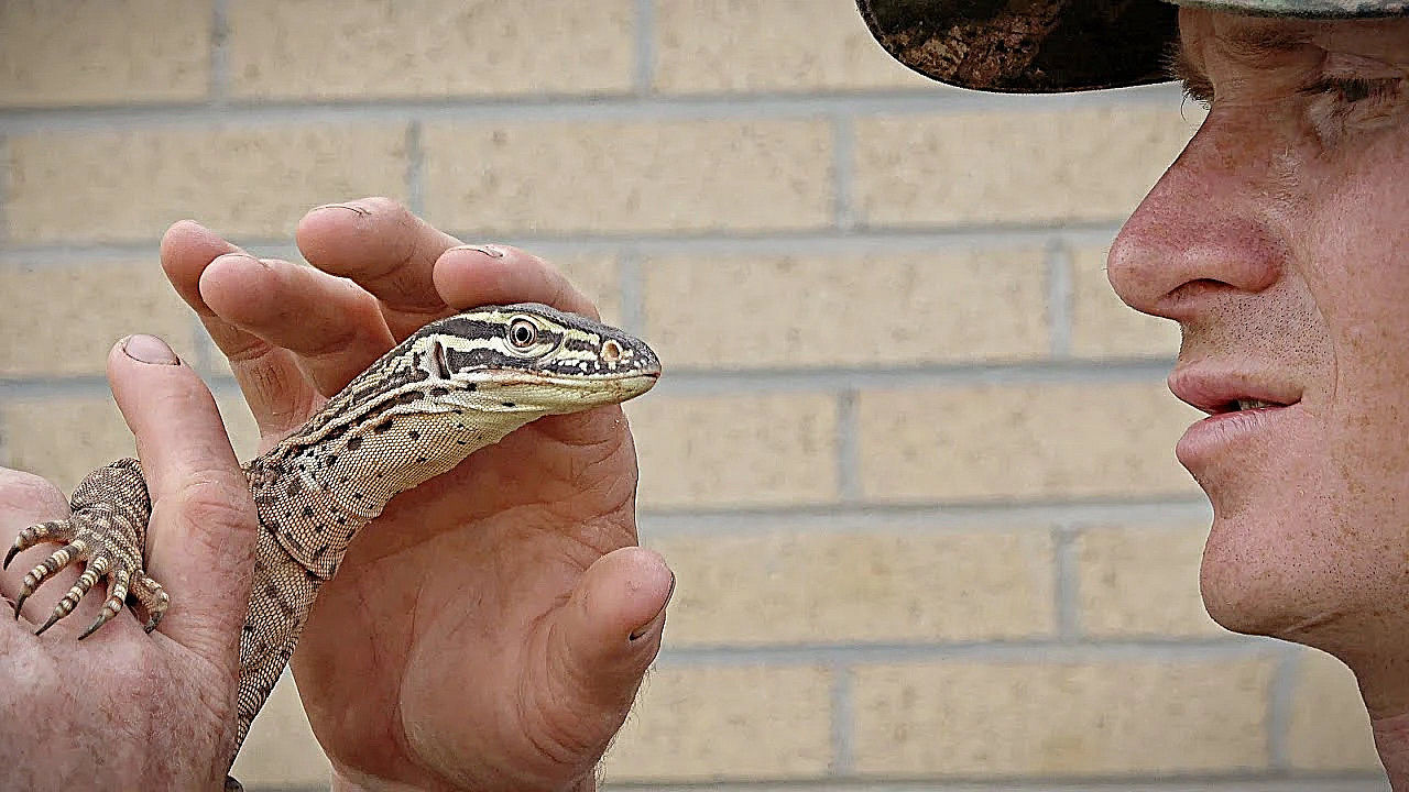 Raptor's Training Outside Continues.