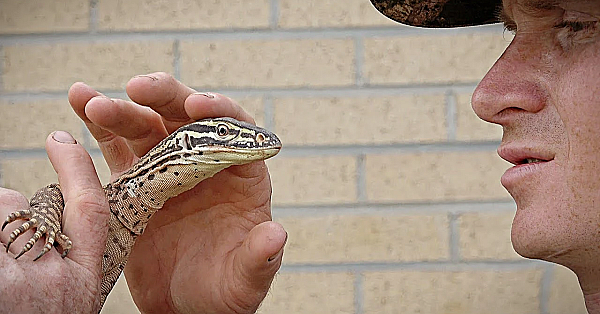 Raptor's Training Outside Continues.