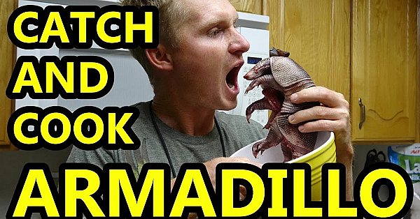 Hunting Armadillo With Terrier