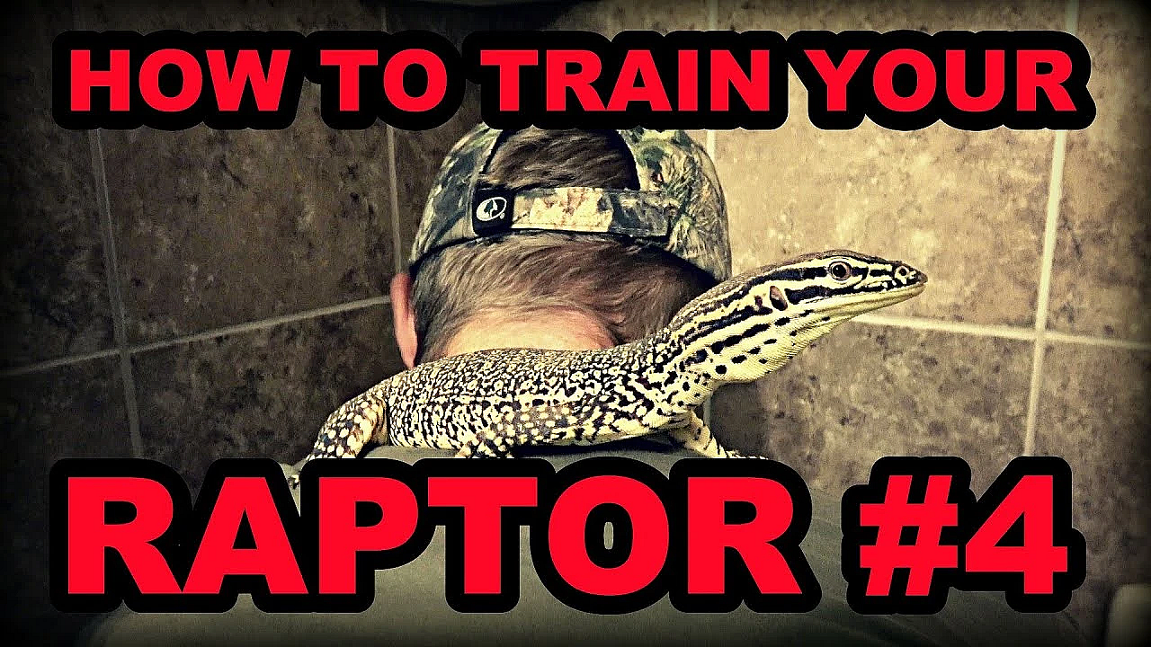 How To Train Your Raptor: Part 4
