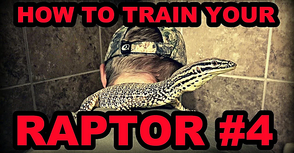 How To Train Your Raptor: Part 4