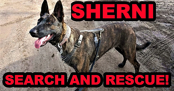 Sherni Trailing Humans!