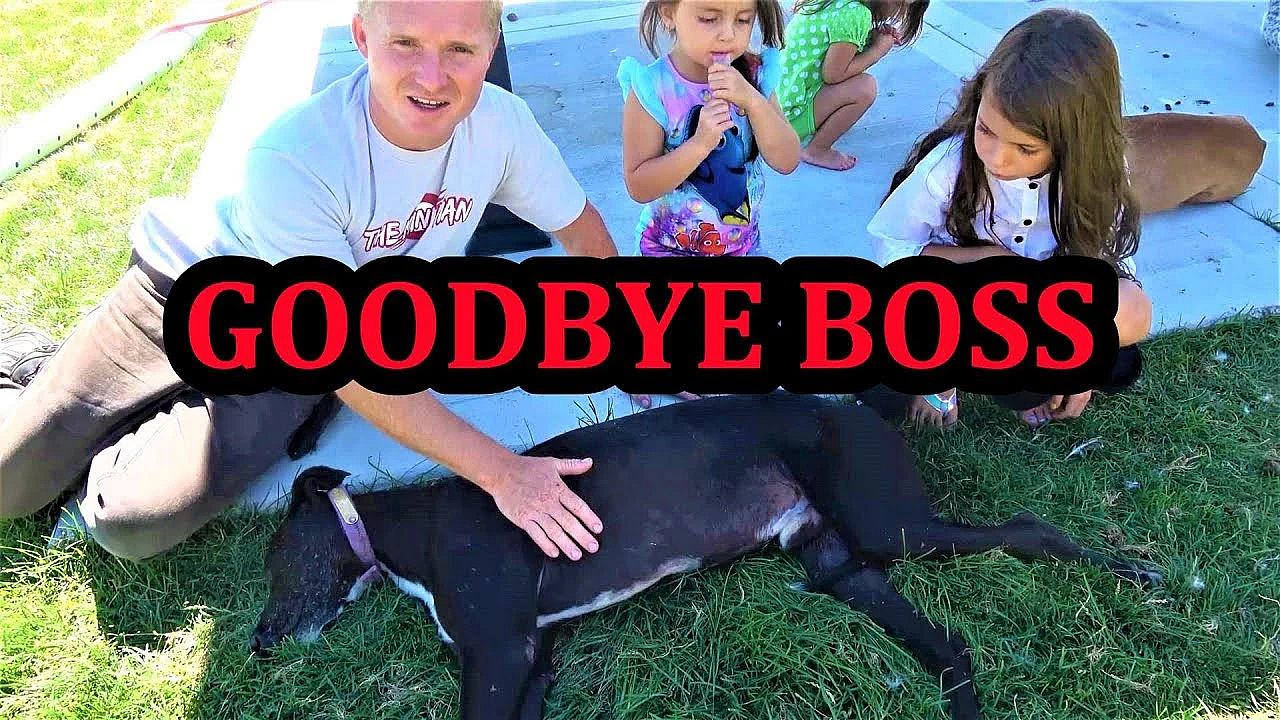 Goodbye Boss