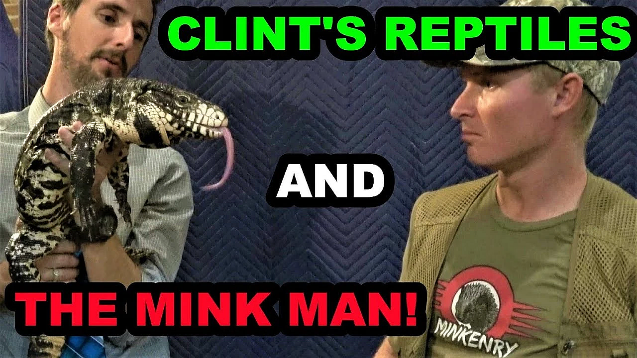 Collaboration With Clint's Reptiles