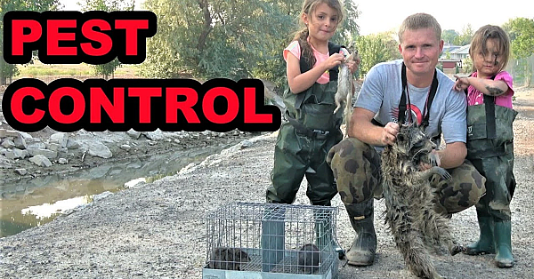 Muskrats, Squirrels, And More!