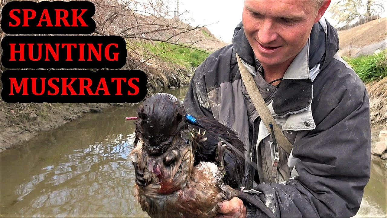 Spark The Underwater Chase Champion!