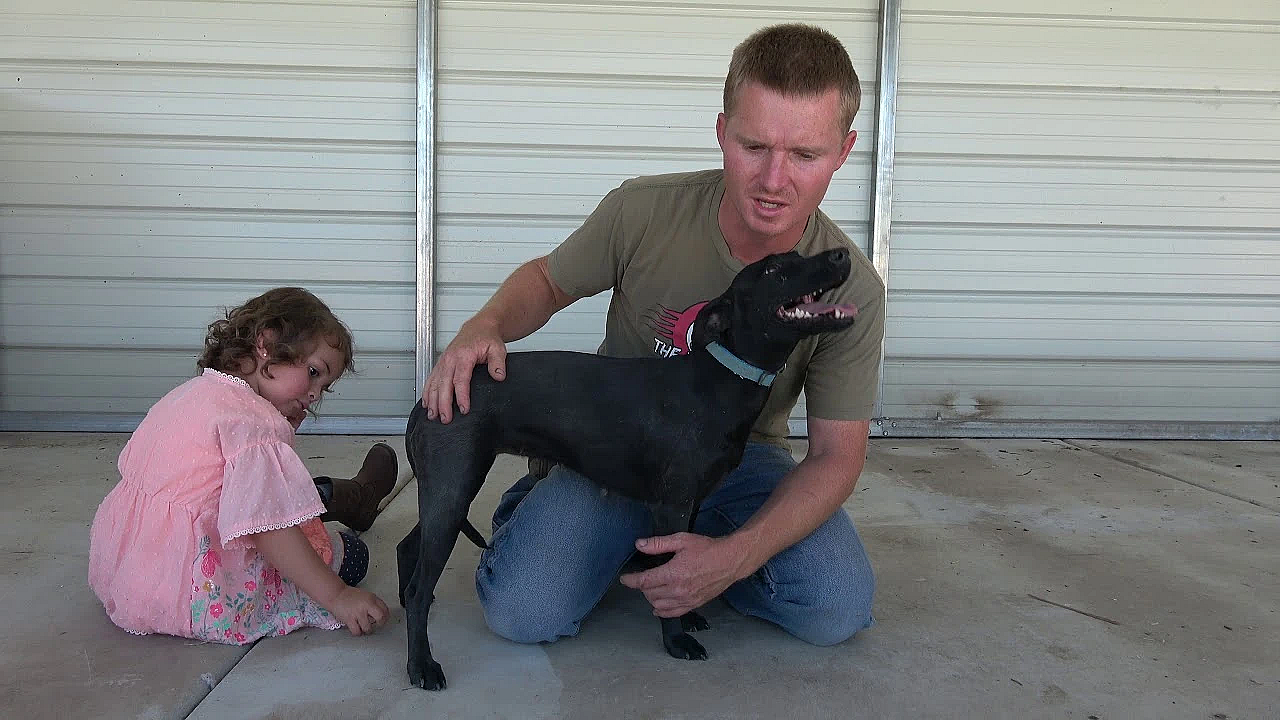 Introducing Leia The Pocket Lurcher!