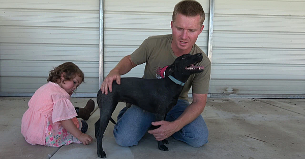 Introducing Leia The Pocket Lurcher!