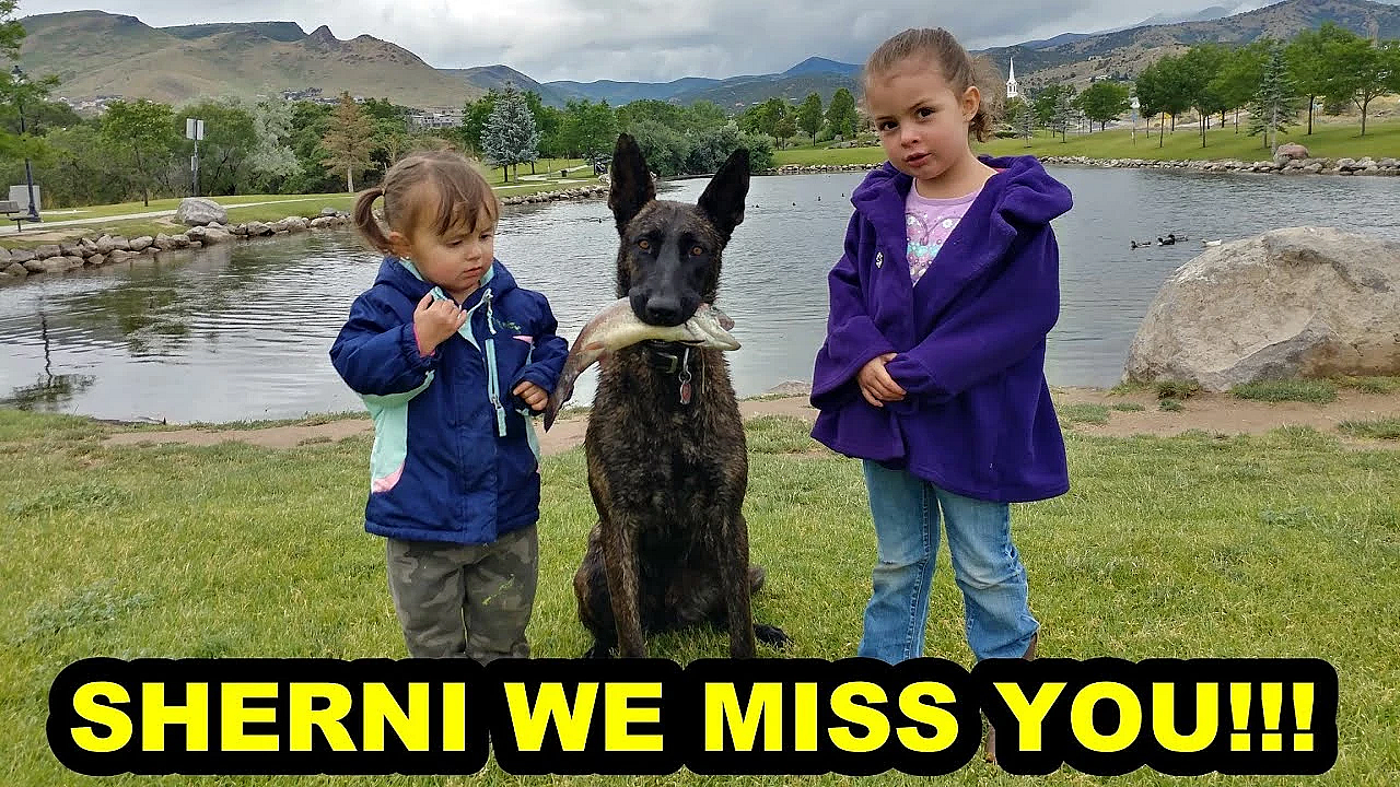 A Tragedy For Us All