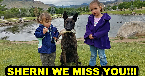 A Tragedy For Us All