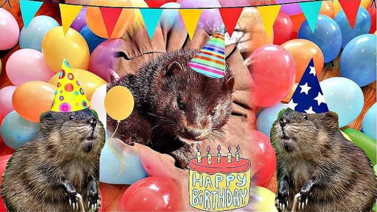 Have A Minky Birthday!