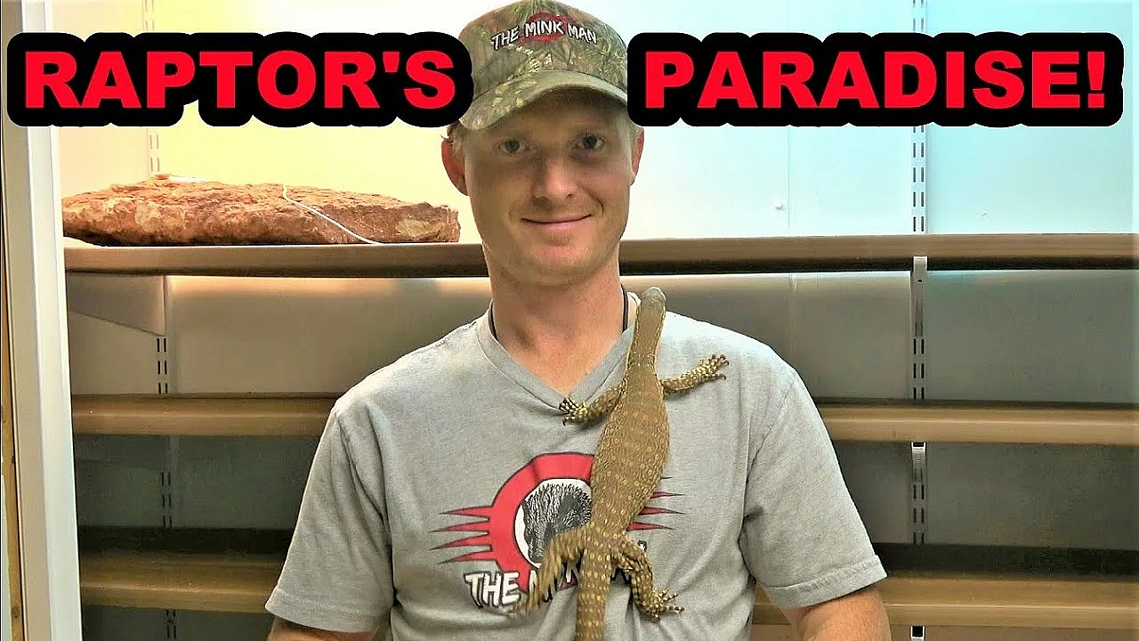 Raptor's New Enclosure!