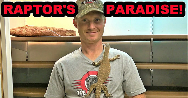 Raptor's New Enclosure!