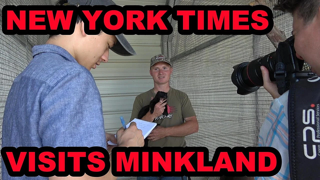 New York Times Minkland Tour!