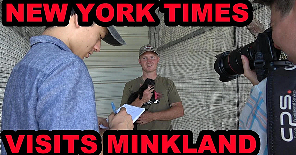 New York Times Minkland Tour!