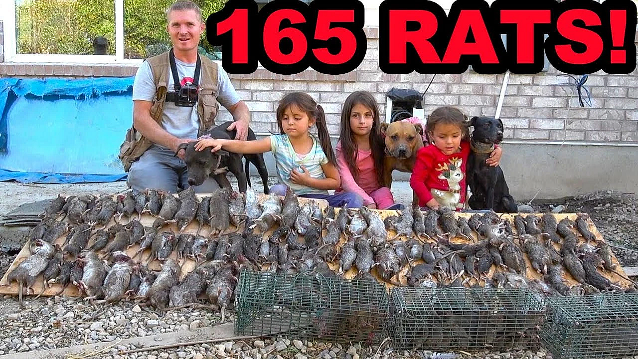 House Infested With 165 Rats!!!
