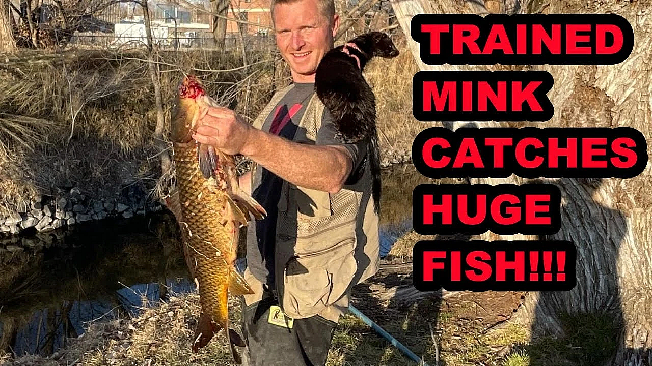 My Mink Spark Catches A Giant Fish!