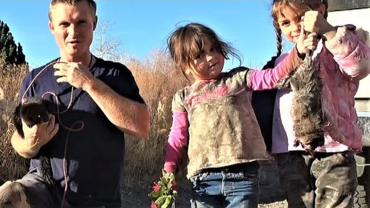 Muskrat Caught At My Feet!