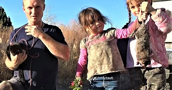 Muskrat Caught At My Feet!