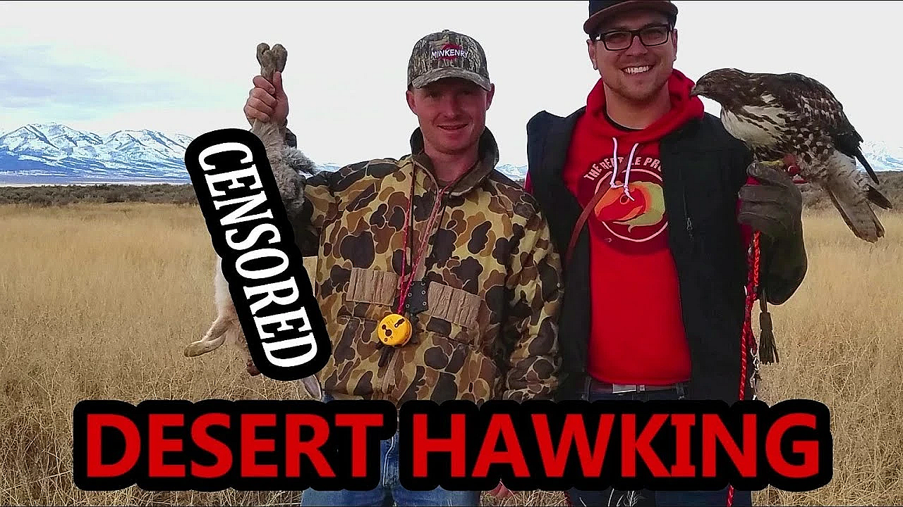 Hawking Jackrabbits In The High Desert