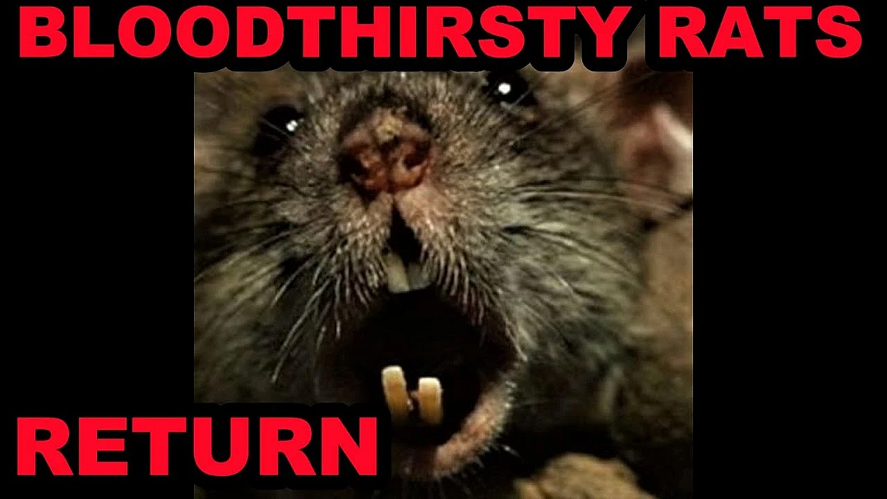 Bloodthirsty Rats Return!!!