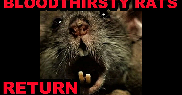 Bloodthirsty Rats Return!!!