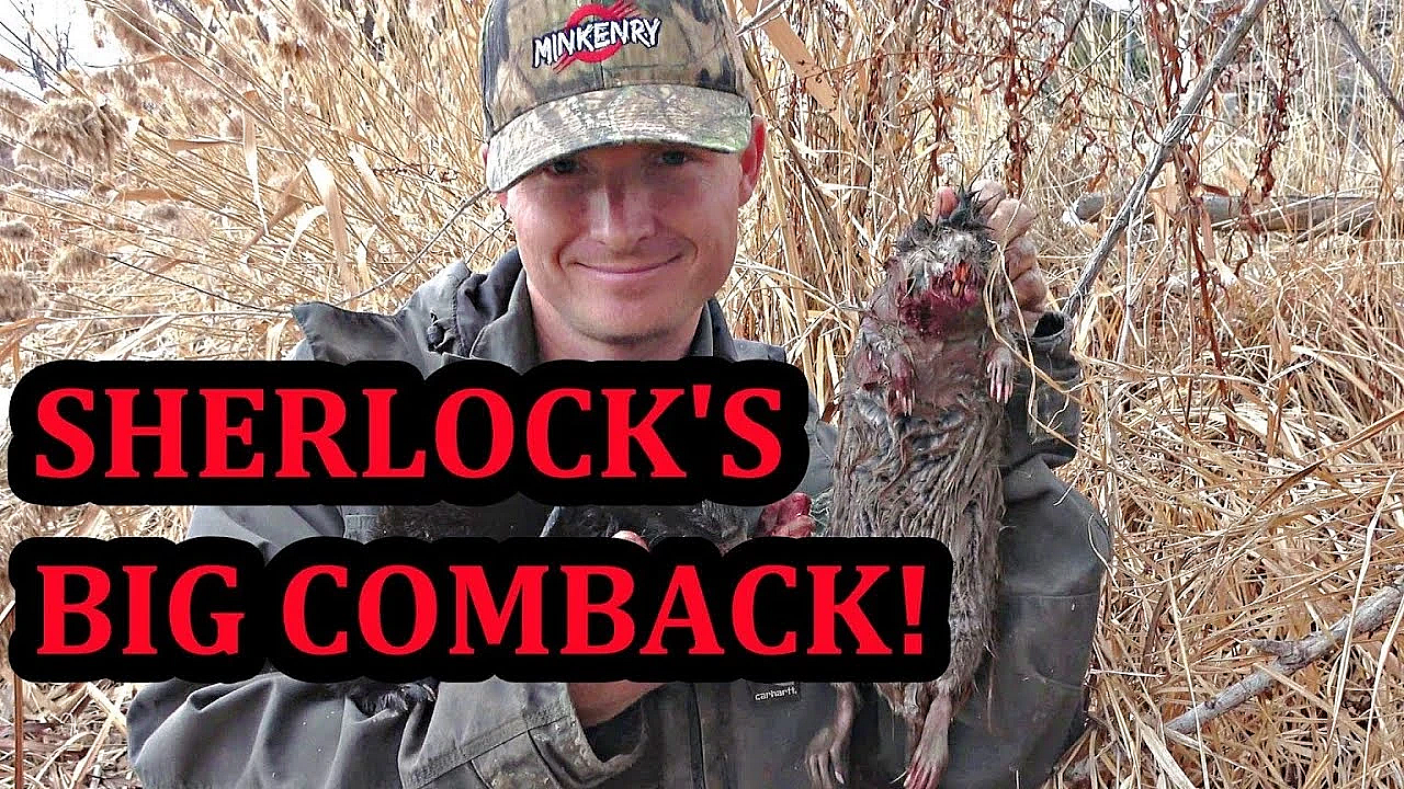 Sherlock's Big Comeback!