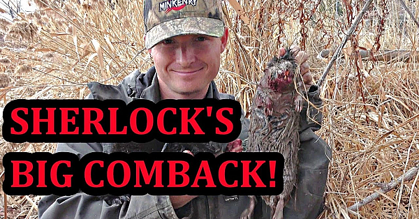 Sherlock's Big Comeback!