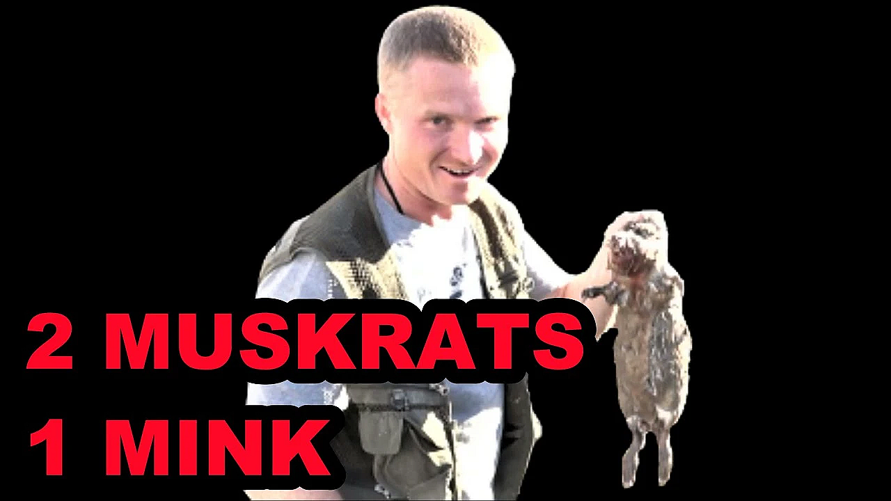 Double Muskrat Pest Control With Boon The Mink!