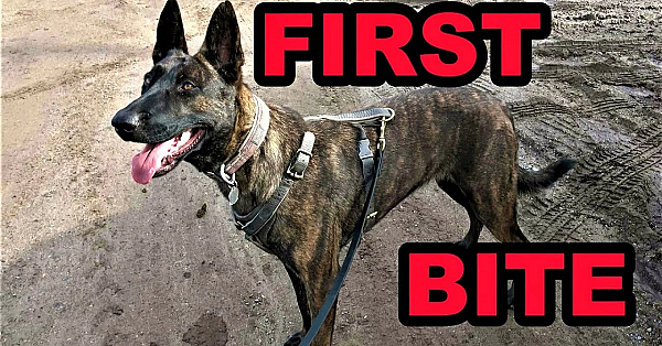 Sherni's First Protection Training!