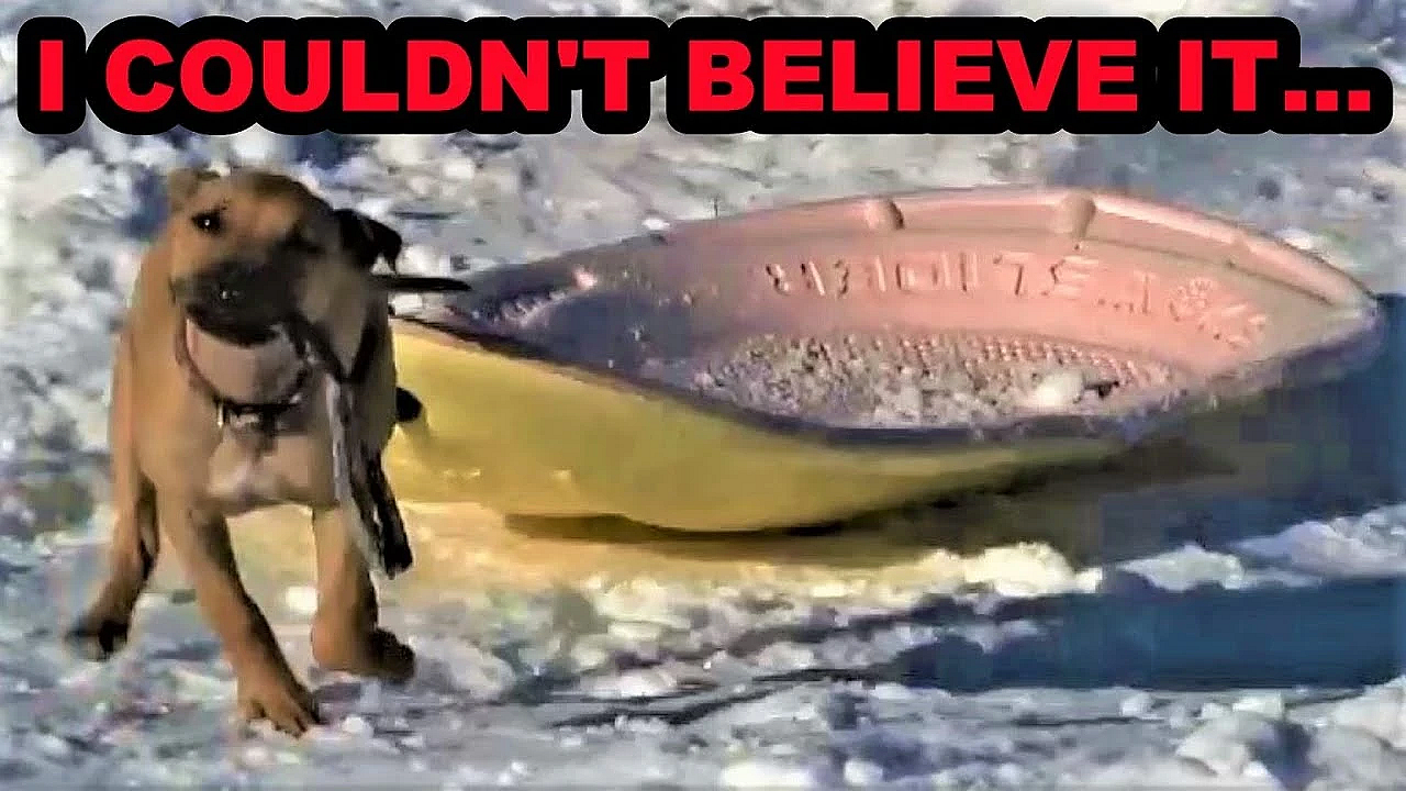 Bindi's 1st Sledding