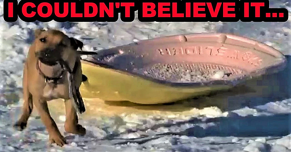 Bindi's 1st Sledding