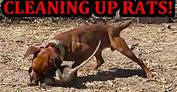 White Heart The Mink Prove's Her Worth!