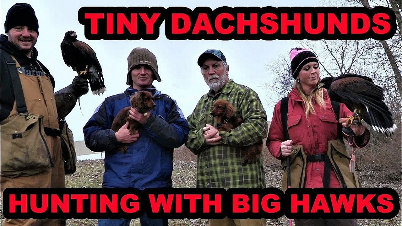 They Caught Five Rabbits!!!