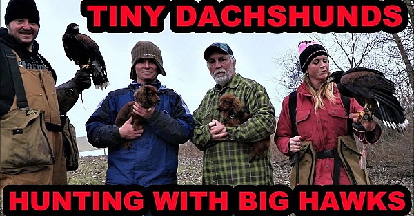 They Caught Five Rabbits!!!