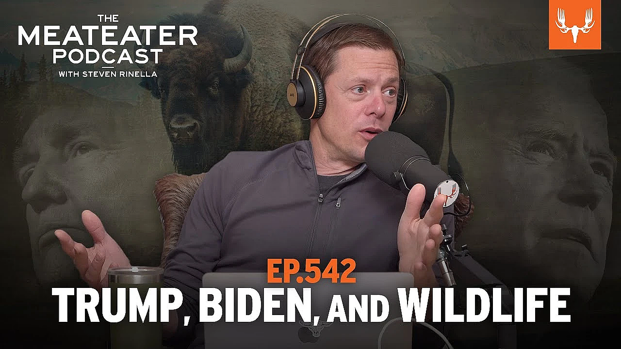 Trump, Biden, And Wildlife: The Meateater Podcast Ep. 542