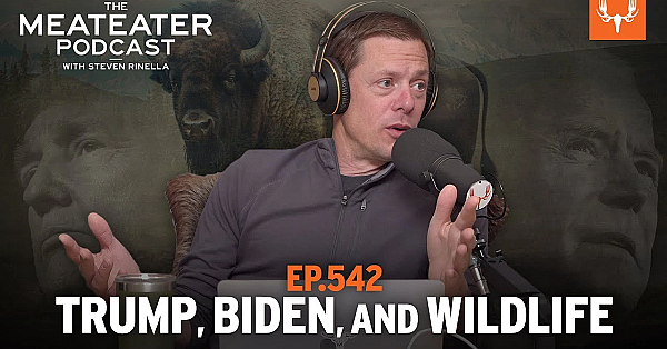 Trump, Biden, And Wildlife: The Meateater Podcast Ep. 542