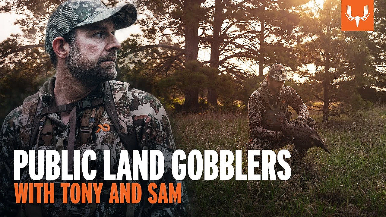 Public Land Gobblers With Tony And Sam