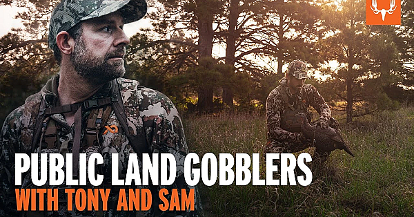 Public Land Gobblers With Tony And Sam