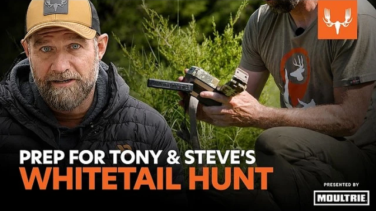 Before The Hunt | Setting up trail cams