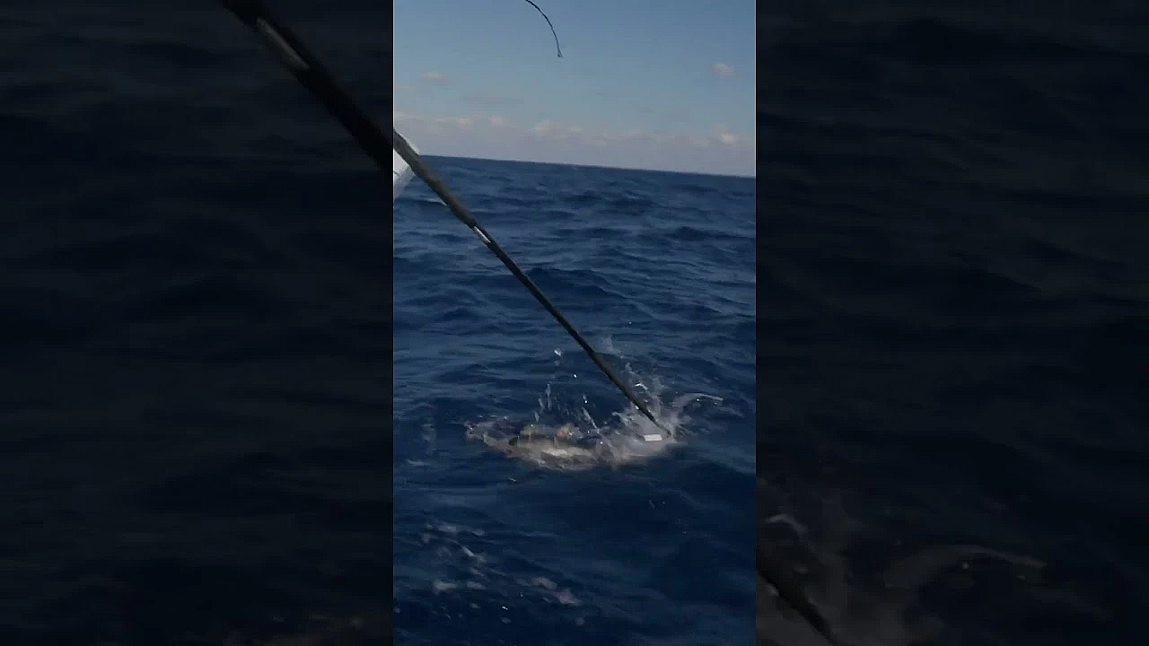 When The Fishing Is So Damn Good You Have To Break The Fourth Wall. #fueledbynature